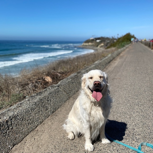 Meet your Posher, Tom ✌🏼 - Picture 2 of 4